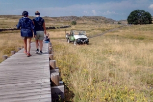 Z Porto: Góra Freita [Geopark Arouca] - wycieczka jeepem