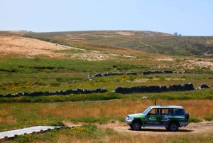 Z Porto: Góra Freita [Geopark Arouca] - wycieczka jeepem