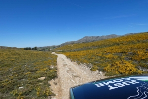 Z Porto: Góra Freita [Geopark Arouca] - wycieczka jeepem