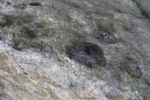 Z Porto: Góra Freita [Geopark Arouca] - wycieczka jeepem