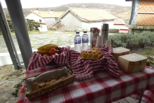 Z Porto: Góra Freita [Geopark Arouca] - wycieczka jeepem