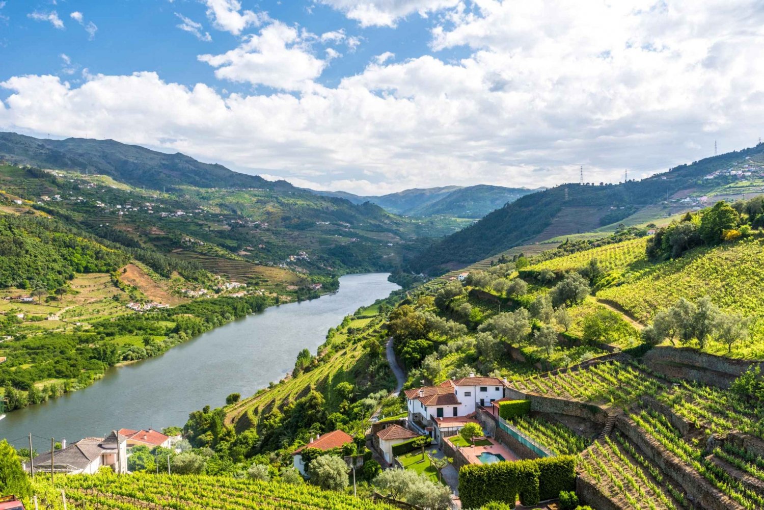 Von Porto aus: Ganztagestour durch die Geschichte des Douro