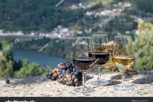 Von Porto aus: Ganztagestour durch die Geschichte des Douro