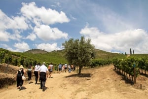 Von Porto aus: Ganztagestour durch die Geschichte des Douro