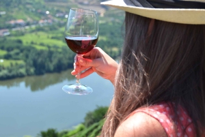 Из Порту: однодневный исторический тур по Дору