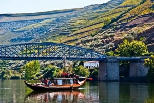 Fra Porto: Dagsudflugt til Douro-dalen