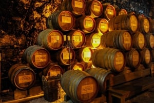 Fra Porto: Dagsudflugt til Douro-dalen