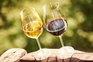 Fra Porto: Dagsudflugt til Douro-dalen