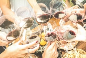 Fra Porto: Dagsudflugt til Douro-dalen