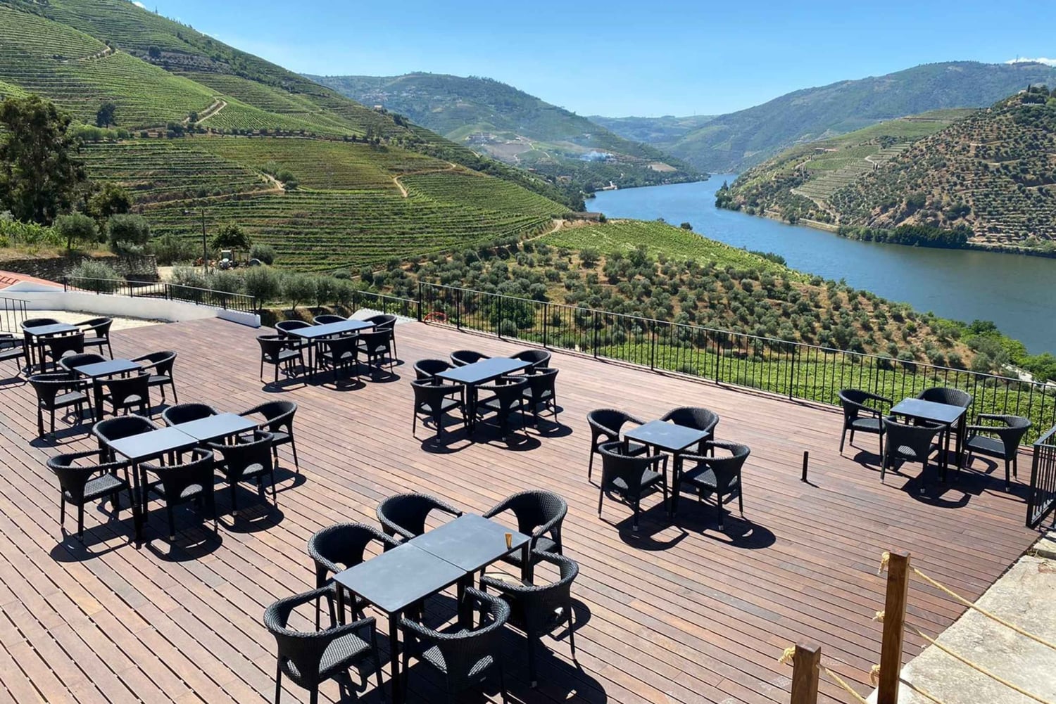 Do Porto: Excursão de 1 dia ao Vale do Douro e Vinhos com almoço