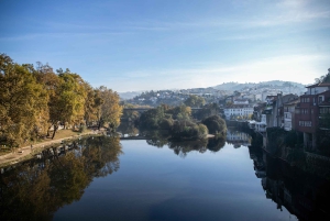 Do Porto: Excursão de 1 dia ao Vale do Douro e Vinhos com almoço