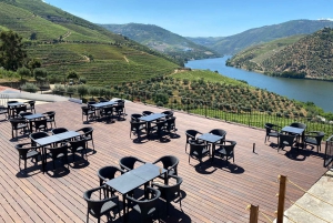 Do Porto: Excursão de 1 dia ao Vale do Douro e Vinhos com almoço