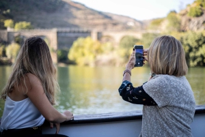 Do Porto: Excursão de 1 dia ao Vale do Douro e Vinhos com almoço