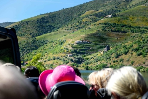 Do Porto: Excursão de 1 dia ao Vale do Douro e Vinhos com almoço