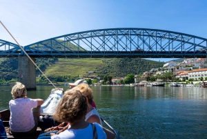 Do Porto: Excursão de 1 dia ao Vale do Douro e Vinhos com almoço