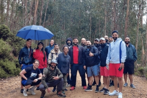 A partir do Porto: Excursão de 1 dia pelas Caminho das Águas do Paiva com almoço de carne com DOP