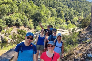 A partir do Porto: Excursão de 1 dia pelas Caminho das Águas do Paiva com almoço de carne com DOP