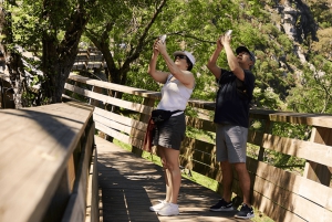 A partir do Porto: Excursão de 1 dia pelas Caminho das Águas do Paiva com almoço de carne com DOP