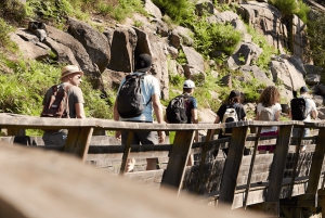 A partir do Porto: Excursão de 1 dia pelas Caminho das Águas do Paiva com almoço de carne com DOP