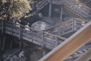 A partir do Porto: Excursão de 1 dia pelas Caminho das Águas do Paiva com almoço de carne com DOP