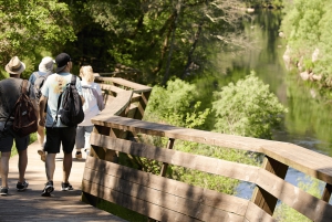 A partir do Porto: Excursão de 1 dia pelas Caminho das Águas do Paiva com almoço de carne com DOP