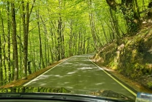 Roze Stad Wandeltour Met Ons ( Een Haritage Wandeling in Jaipur)