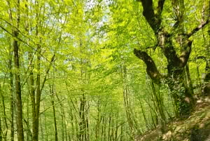 Depuis Porto : Visite d'une jounée dans le parc national de Gerês