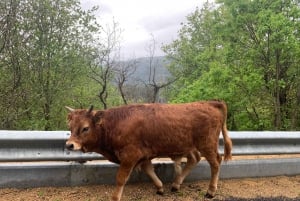 Depuis Porto : Visite d'une jounée dans le parc national de Gerês
