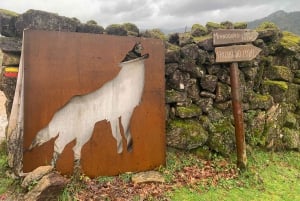 Vanuit Porto: Dagvullende tour in het nationale park Gerês