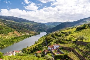 From Porto: Full-Day Trip of Minho Region