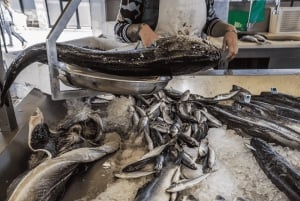 Da Porto: Escursione di una giornata intera a Coimbra e Aveiro con giro in barca