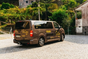 From Porto: Gerês National Park Canyoning Trip