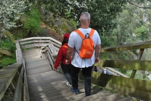 Från Porto: Guidad tur på 516 Arouca-hängbron och Paiva Walkways