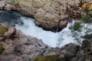 Från Porto: Guidad tur på 516 Arouca-hängbron och Paiva Walkways