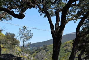 Depuis Porto : visite guidée du pont suspendu d'Arouca (516) et des passerelles de Paiva