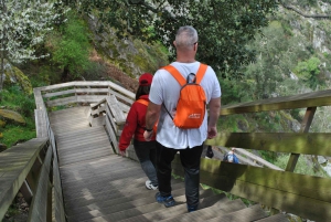 Depuis Porto : visite guidée du pont suspendu d'Arouca (516) et des passerelles de Paiva