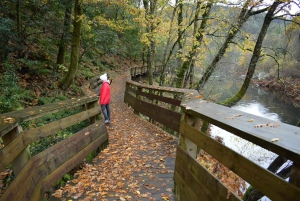Depuis Porto : visite guidée du pont suspendu d'Arouca (516) et des passerelles de Paiva