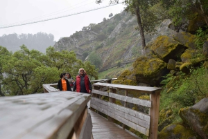 Depuis Porto : visite guidée du pont suspendu d'Arouca (516) et des passerelles de Paiva