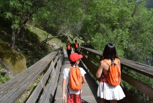 Depuis Porto : visite guidée du pont suspendu d'Arouca (516) et des passerelles de Paiva