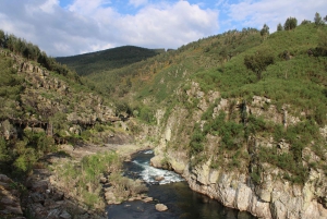 Depuis Porto : visite guidée du pont suspendu d'Arouca (516) et des passerelles de Paiva