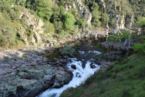Depuis Porto : visite guidée du pont suspendu d'Arouca (516) et des passerelles de Paiva