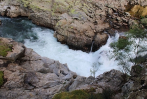 Depuis Porto : visite guidée du pont suspendu d'Arouca (516) et des passerelles de Paiva