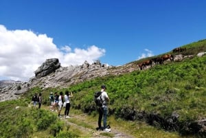 Von Porto: Wanderung & Schwimmen im Nationalpark Gerês