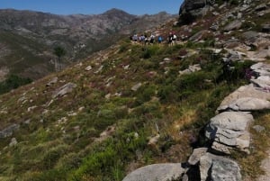 Von Porto: Wanderung & Schwimmen im Nationalpark Gerês