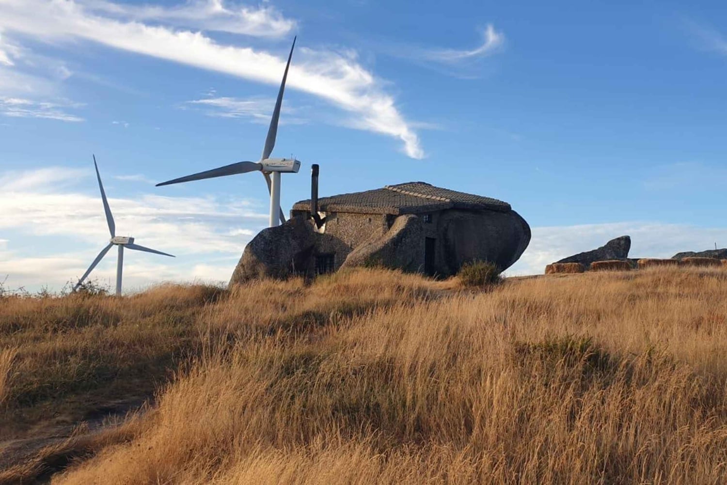 Au départ de Porto : visite d'une jounée nature et dégustation de vins