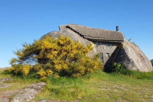 From Porto: Nature and Wine tasting Full-Day Tour