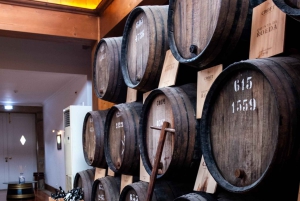 From Porto: Nature and Wine tasting Full-Day Tour