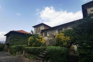 From Porto: Nature and Wine tasting Full-Day Tour