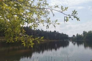 From Porto: Nature and Wine tasting Full-Day Tour