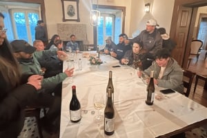 Au départ de Porto : visite d'une jounée nature et dégustation de vins